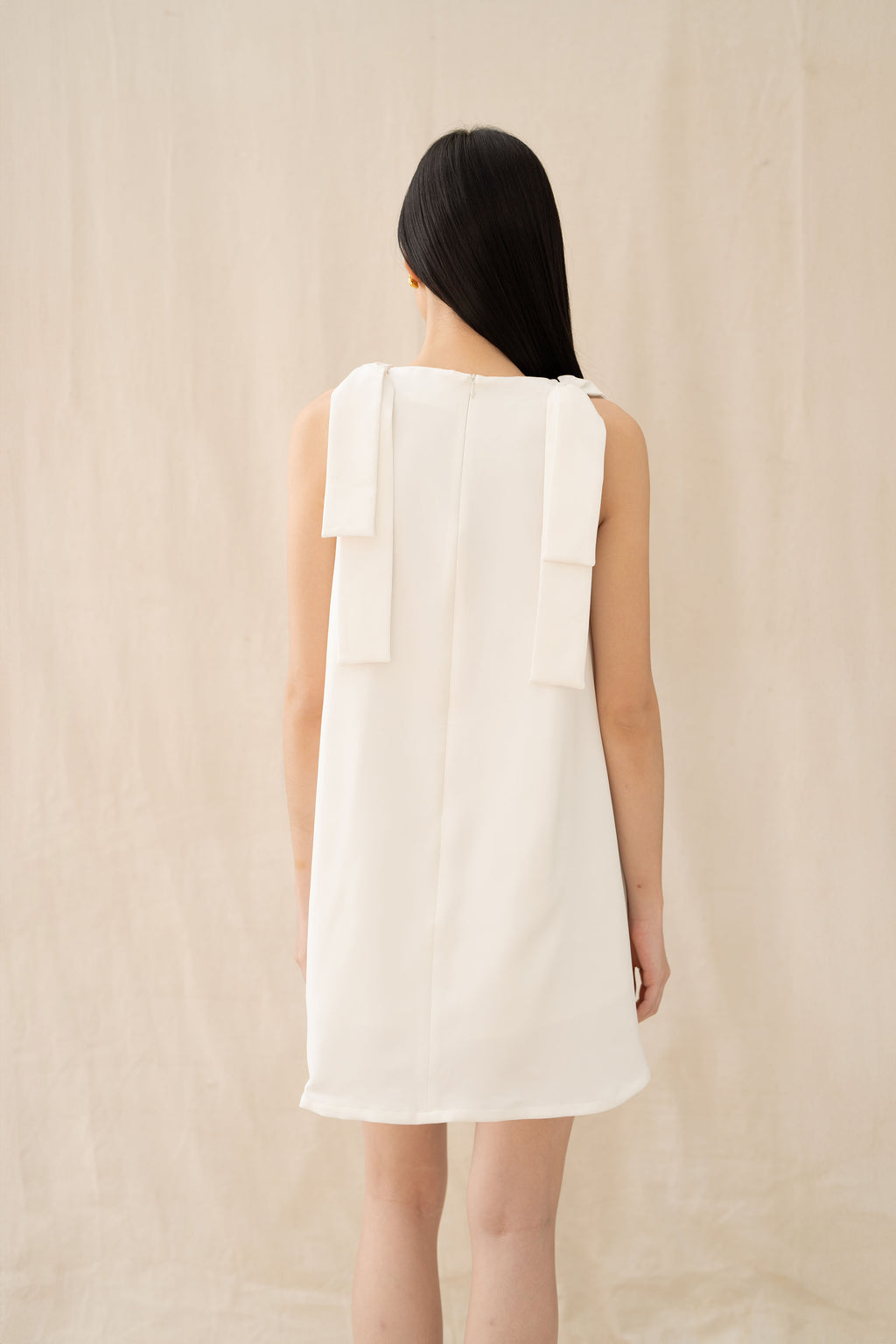 Essence Mini Dress With Embroidery