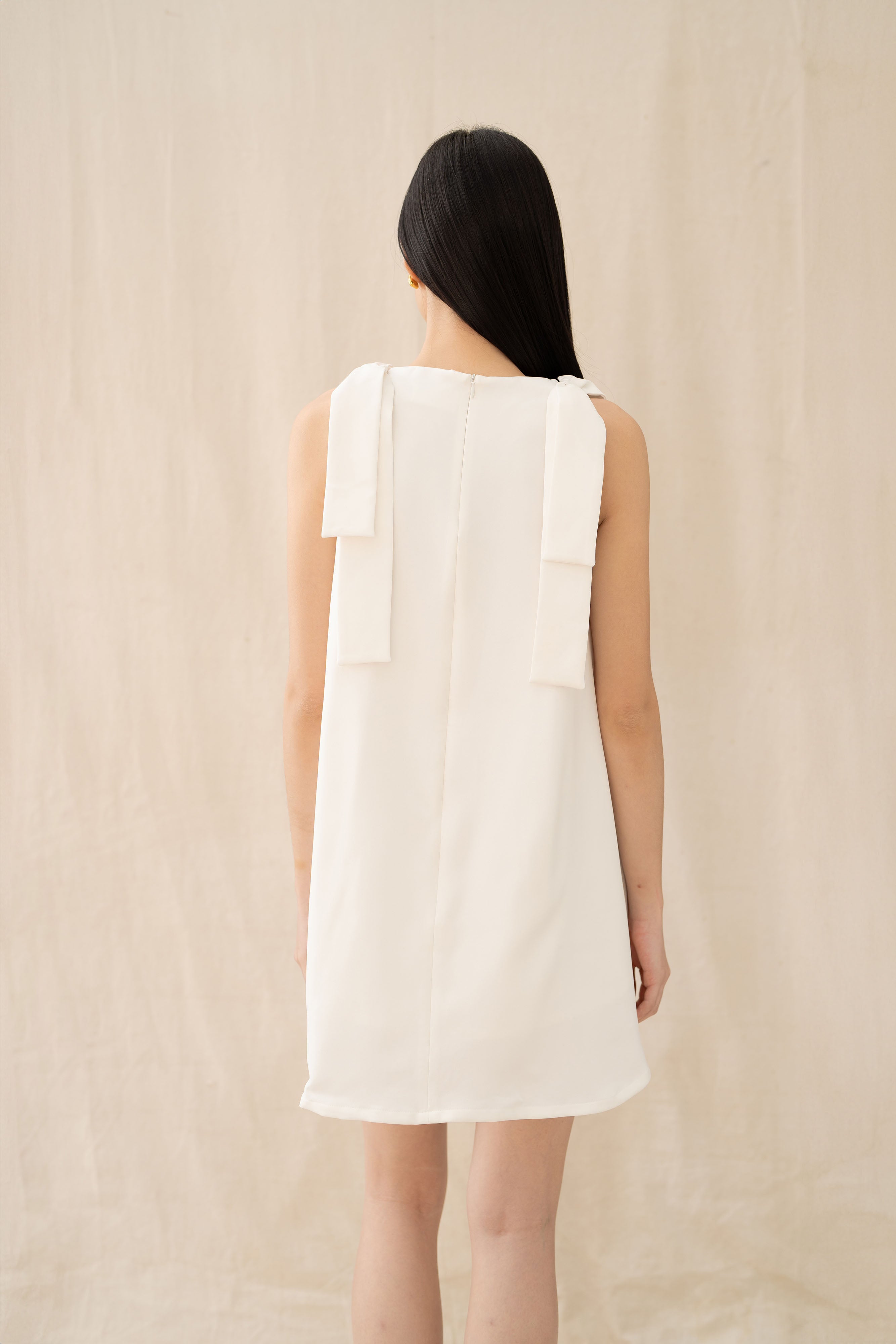Essence Mini Dress With Embroidery
